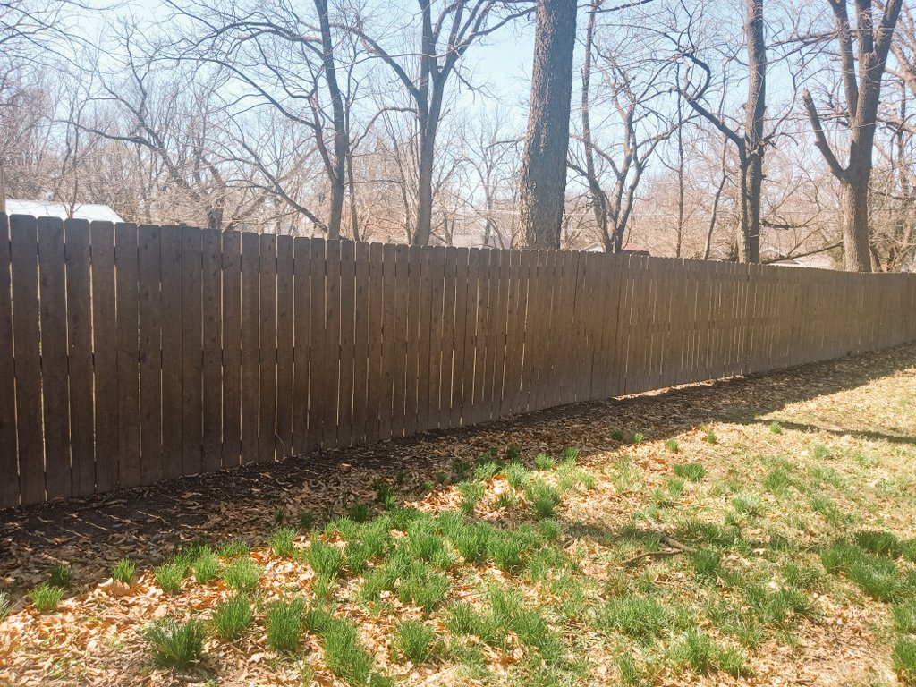 Wood privacy fence freshly stained