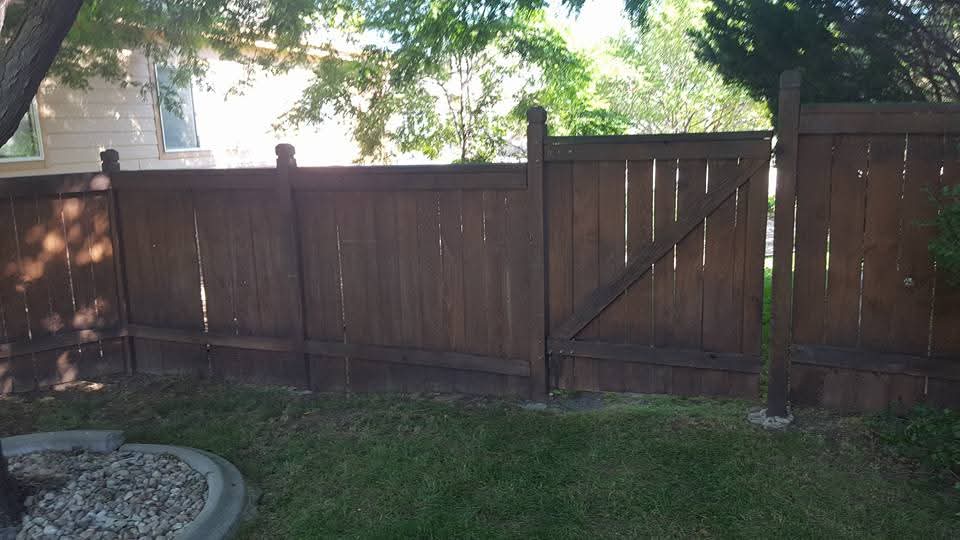 Backyard wood fence and gate freshly stained